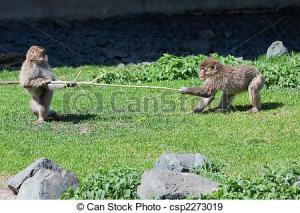 can-stock-photo_csp2273019